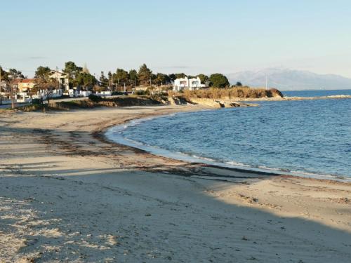 una playa de arena con casas y el océano en Апартаменти Анджело en Paralía Avdhíron
