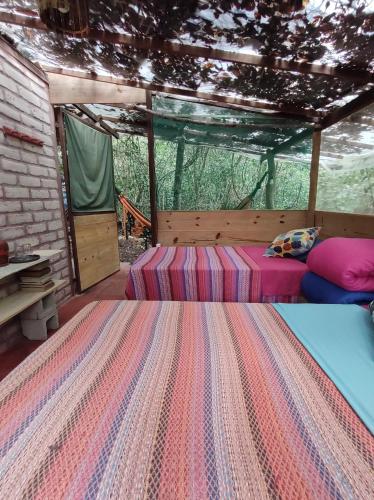 Mariri Jungle Lodge – Photos 5