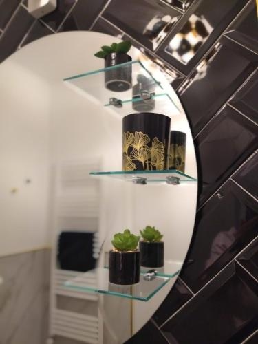a mirror on a wall with some plants on it at Lionas Central Apartment in Bistriţa