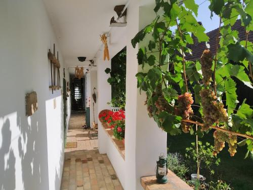 Égkőris Vendégház في Bakonyszücs: ممر بيت فيه نباتات وزهور