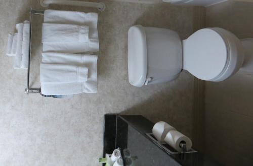 a bathroom with white towels hanging on a wall at Holiday Inn Lincoln Southwest by IHG in Lincoln