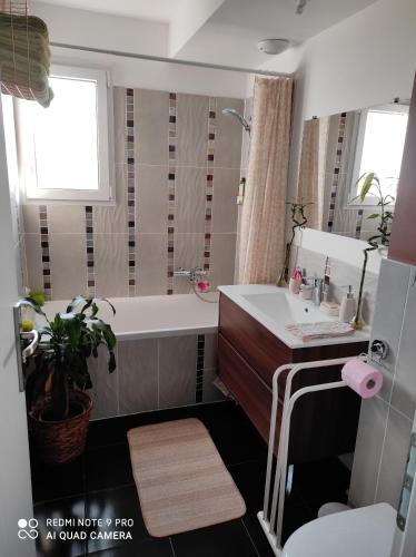 a bathroom with a tub and a sink and a bath tub at La maison écolo de Nono in Dhuizon