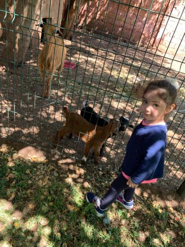 a young child standing in front of a cage with a dog at Equi Palace & SPA Near Aeroport in Berrechid