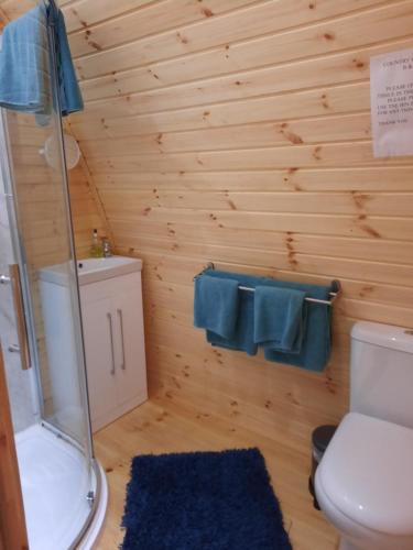 Log cabin tesisinde bir banyo