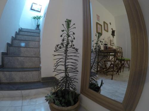a mirror in a hallway with some plants and stairs at Casa Vila Mar - Inn Prainha in Arraial do Cabo