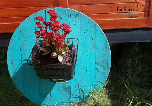 a planter with red flowers on a blue table at La Sarita, Hospedaje rural. in Iza