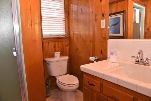 a bathroom with a toilet and a sink at The Kern Lodge in Kernville