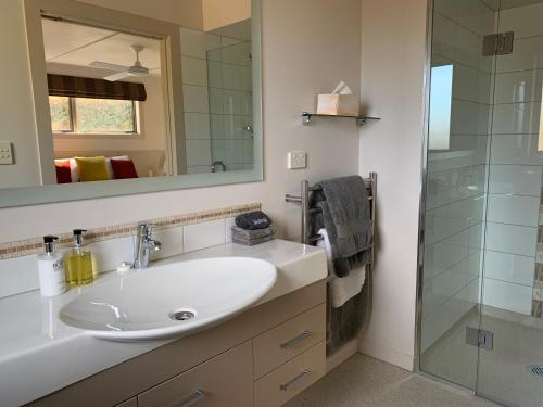 a bathroom with a sink and a glass shower at Burn Cottage Retreat in Cromwell