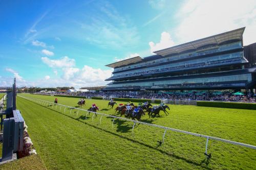 a group of horses racing on a race track at Perouse Randwick by Sydney Lodges in Sydney