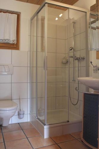 a shower in a bathroom with a sink and a toilet at Dunkel Blaue Maus in Meiringen