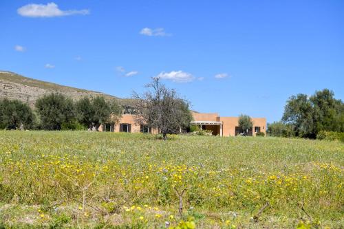 a field of flowers in front of a house at LUCCICAMARE family-run BeB in Noto