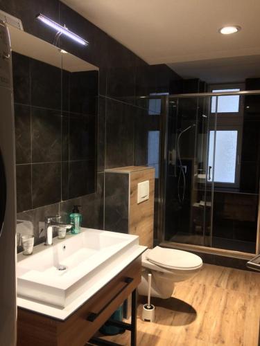 W łazience znajduje się umywalka, toaleta i prysznic. w obiekcie Junior Suite Apartment by Livingdowntown w Zurychu