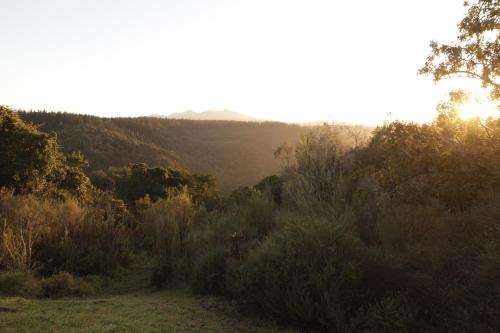 a view of a field with trees and the sunset at Forest Hills in Knysna