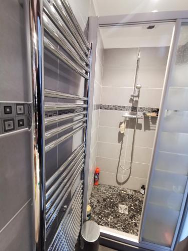 une petite salle de bain avec douche et toilettes dans l'établissement Les pieds dans l'eau Plage Saint-Jean, à La Ciotat