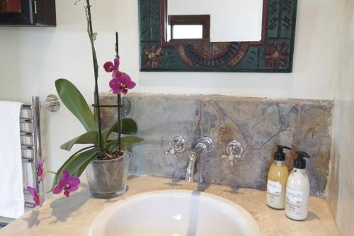 a bathroom sink with a potted plant and a mirror at Forest Hills in Knysna