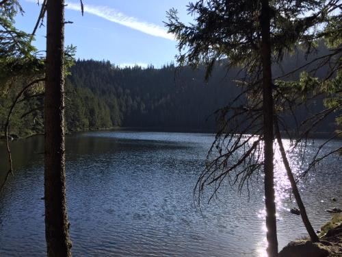 a view of a lake through the trees at Apartmany Rezidence Klostermann & Javor & Skalka in Železná Ruda