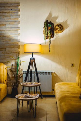 Fotografie z fotogalerie ubytování BM Plaza v destinaci Bakuriani
