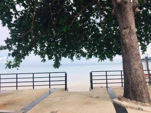 a bench sitting under a tree next to the beach at PTK BEACH in Chaweng