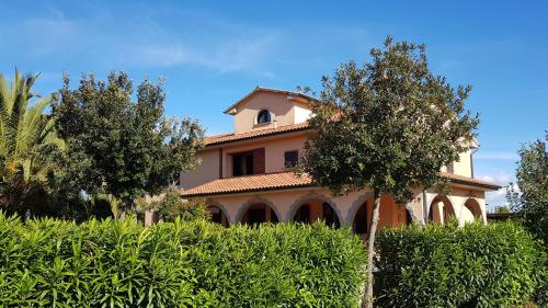 a large house with a tree in front of it at Villa Mandrioli in Cecina