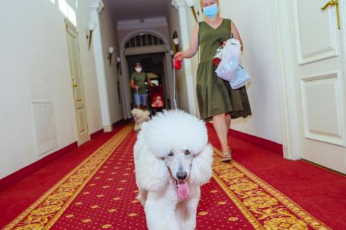 a white dog walking down a hallway with a woman wearing a mask at Europa Royale Druskininkai in Druskininkai