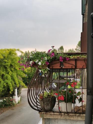 Zahrada ubytování B&B LaMaGia di Corte Moronati