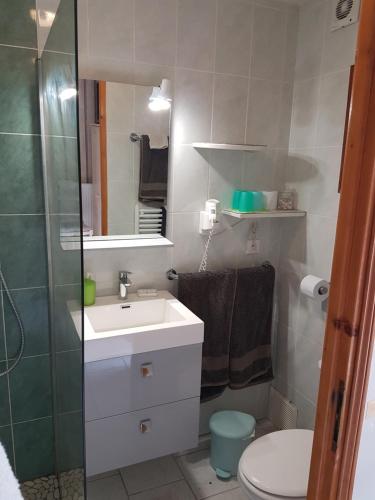 a bathroom with a sink and a toilet and a mirror at La Griotte & Spa&Piscine in Pennedepie