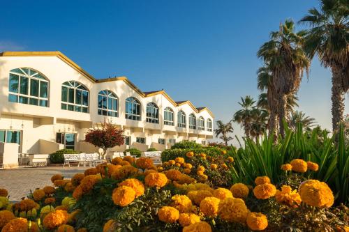 Afbeelding uit fotogalerij van Sandy Beach Hotel & Resort in Al Aqah