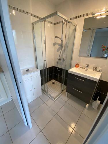 een badkamer met een douche en een wastafel bij Cocooning in Torreilles