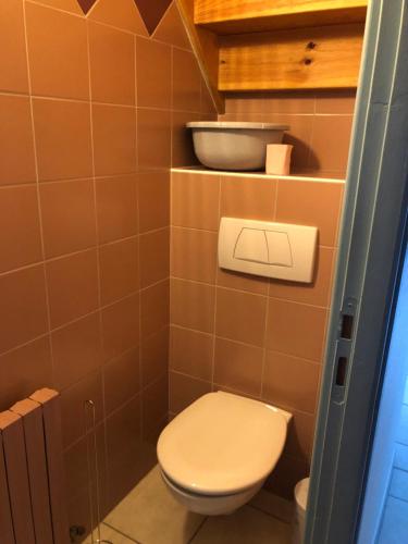 a bathroom with a toilet and a bowl on a shelf at Appartement ESTAUBE Résidence les 3 cirques in Gèdre