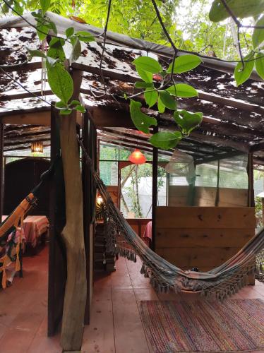 Billede fra billedgalleriet på Mariri Jungle Lodge i Alto Paraíso de Goiás