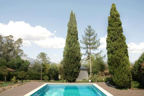 a pool in a garden with two tall trees at Hotel Rural Solar das Arcadas in Ponte de Lima