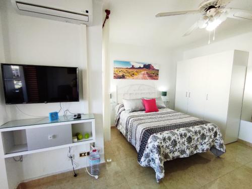 a bedroom with a bed and a flat screen tv at Studio en Torrox Costa in Torrox Costa