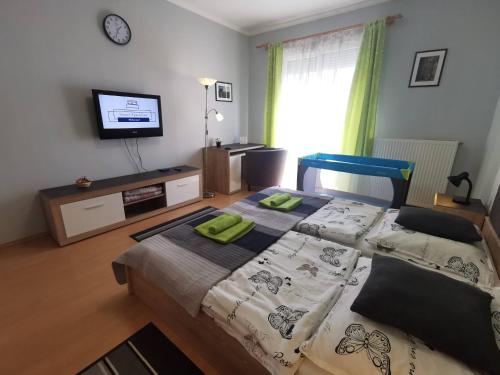 een slaapkamer met een groot bed en een televisie bij Smart Szállás apartman in Miskolc in Miskolc