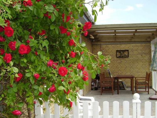 a white fence and red roses in front of a house at 4 person holiday home in Dannemare in Dannemare