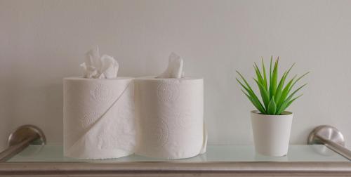 two rolls of paper towels on a shelf with a plant at Abbey Lodge in Killarney