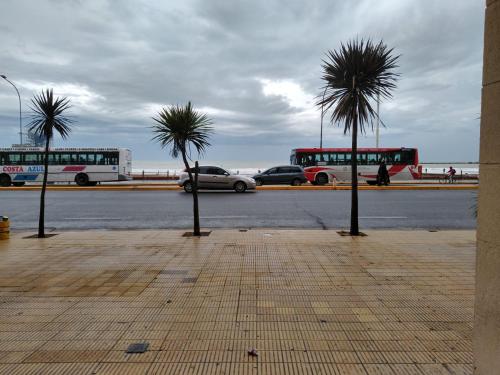 tres autobuses y palmeras en un estacionamiento en Edifício Montecarlo en Mar del Plata