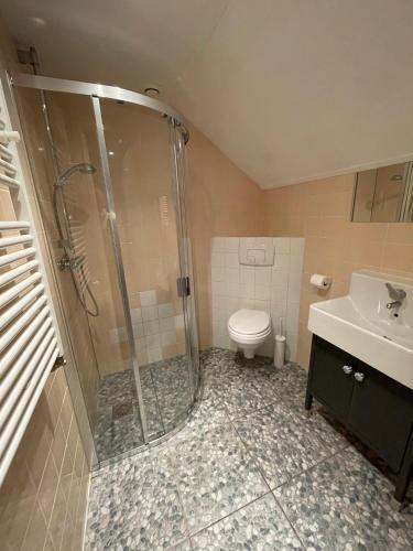a bathroom with a shower and a toilet and a sink at Waterjuffer in Noordlaren