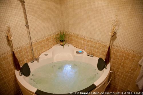 a bathroom with a bath tub with a plant in it at Casa Rural Castillo Diempures in Cantalojas
