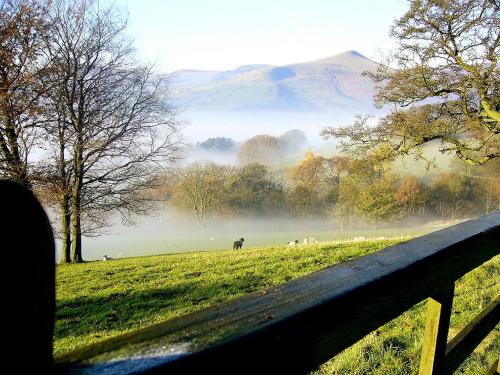 a view of a field with a fence and animals at Peak District Shepherds Hut in Hope
