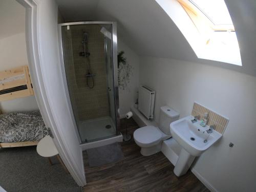 een badkamer met een douche, een toilet en een wastafel bij Cosy townhouse near Kidwelly in Kidwelly