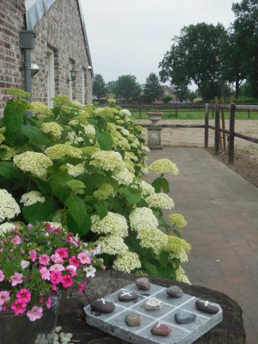 Un jardín fuera de B & B " De 7 Sprong "