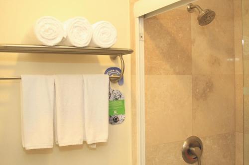 a bathroom with towels on a towel rack next to a shower at Holiday Inn Huatulco, an IHG Hotel in Santa Cruz Huatulco