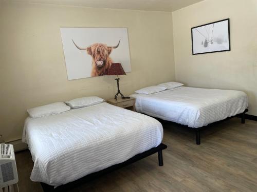 two beds in a room with a cow on the wall at Mac’s Motel in Heber City