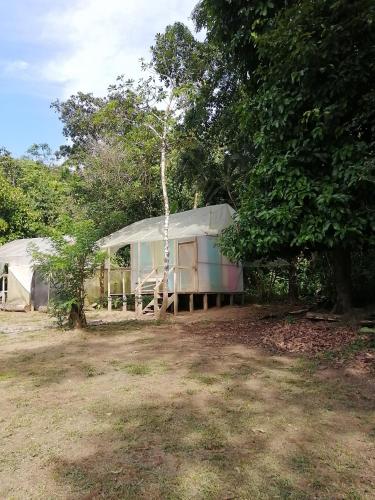 a tent in a field next to a tree at Life for Life Hostel Drake Bay Home of Sea Turtle Marine Conservation Project Osa Peninsula near San Josecito Beach in Drake