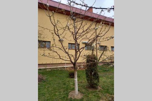 Taman di luar Апартаменти в центрі Мукачева