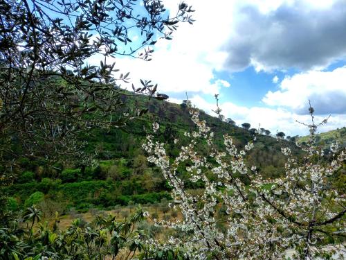 Φωτογραφία από το άλμπουμ του AgriTrinacria Rooms σε Piazza Armerina