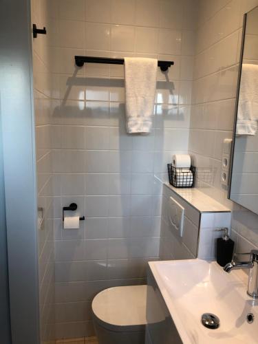 ein Badezimmer mit Toilette und Waschbecken in der Unterkunft Nieboer in Vrouwenpolder
