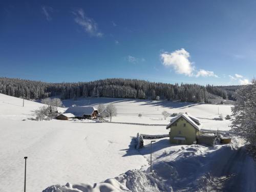 a house in a snow covered field with trees at Gasthaus Pension Donishäusle in Titisee-Neustadt