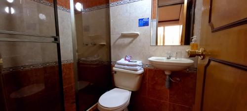uma casa de banho com um WC, um lavatório e um chuveiro em Hoteles Bogotá Inn Turisticas 63 em Bogotá