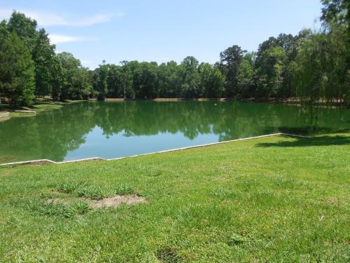 a large pond with green grass in a field at Dogwood Springs Lodgings in Mineola